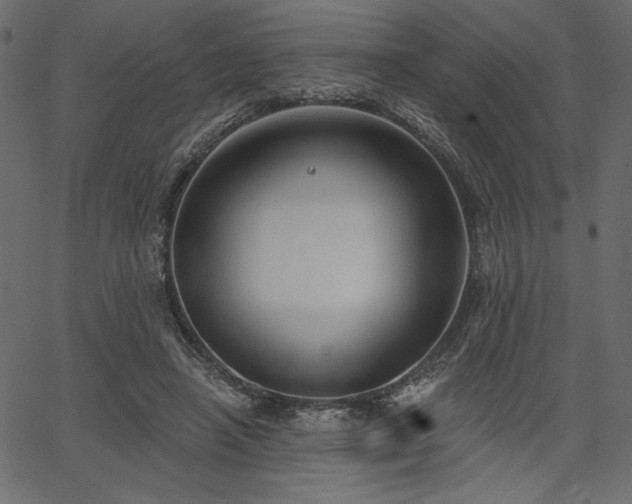 X0000067390450200603311303