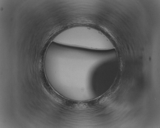 X0000067390451200603311303