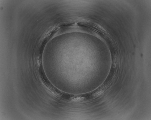 X0000067390452200603311303