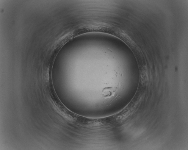 X0000067390454200603311303