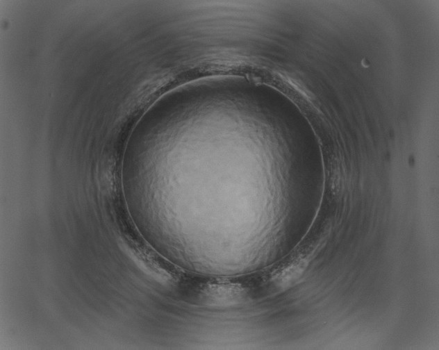 X0000067390455200603311303