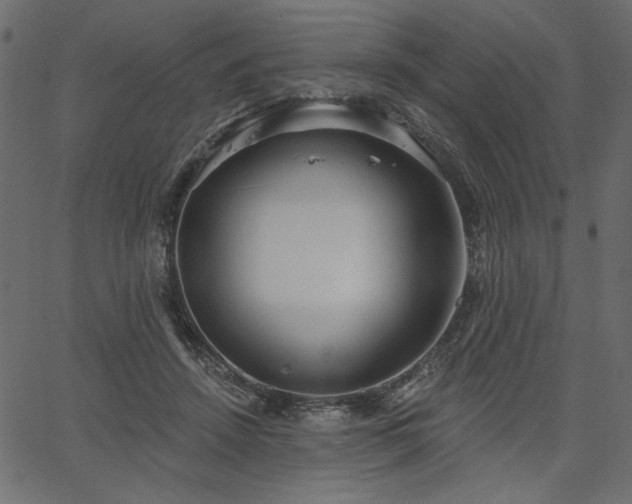 X0000067390456200603311303