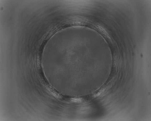 X0000067390457200603311303