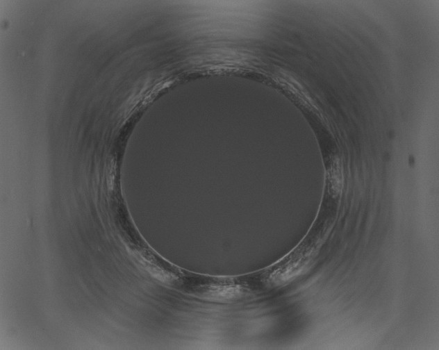 X0000067390458200603311303