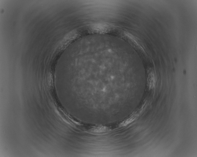 X0000067390459200603311303