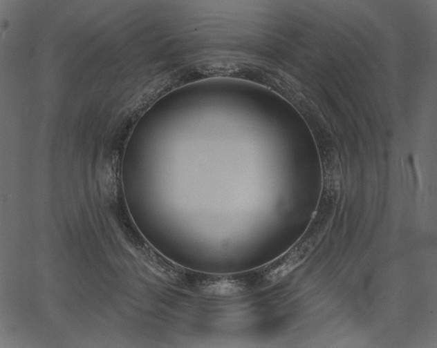 X0000067390460200603311303