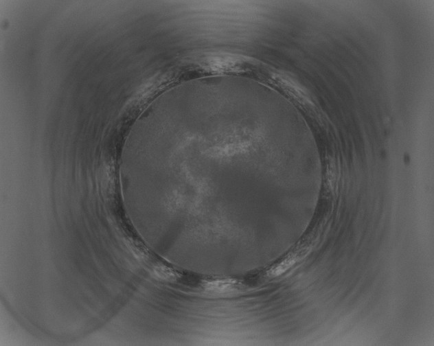 X0000067390461200603311303