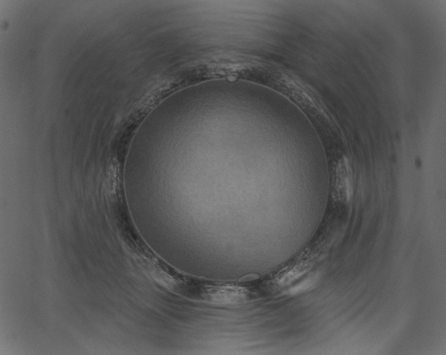 X0000067390463200603311303