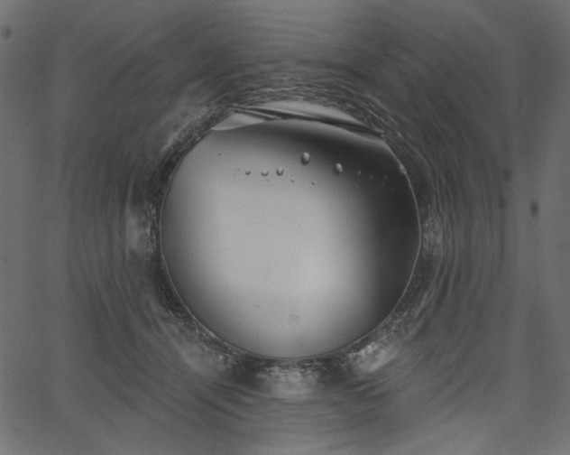 X0000067390464200603311303