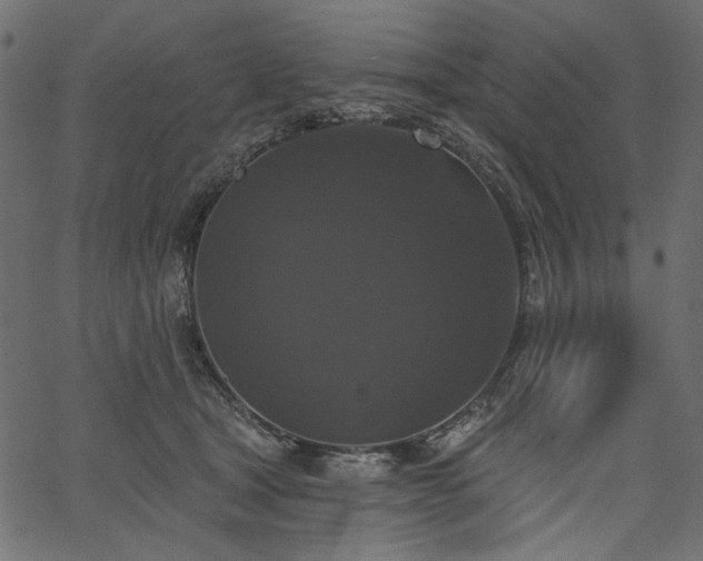 X0000067390465200603311303