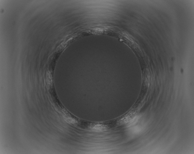 X0000067390467200603311303