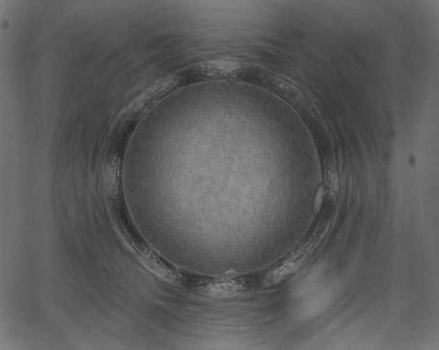 X0000067390468200603311303