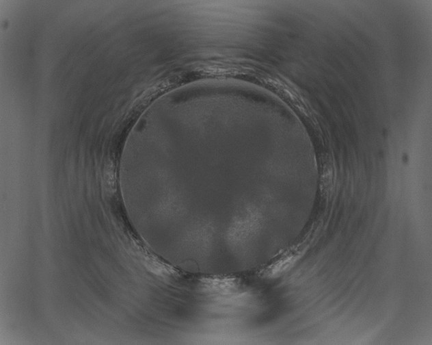 X0000067390469200603311303