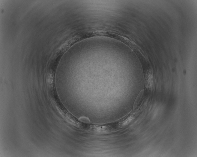 X0000067390472200603311303