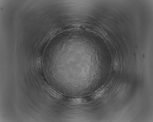 X0000067390473200603311303