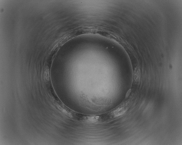 X0000067390474200603311303