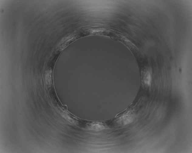 X0000067390475200603311303