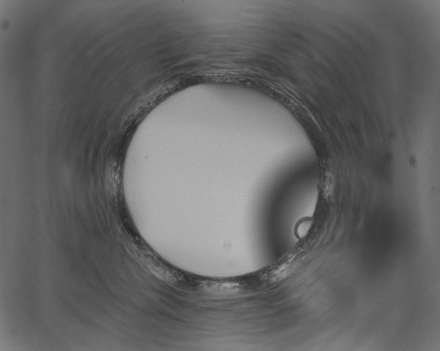 X0000067390476200603311303