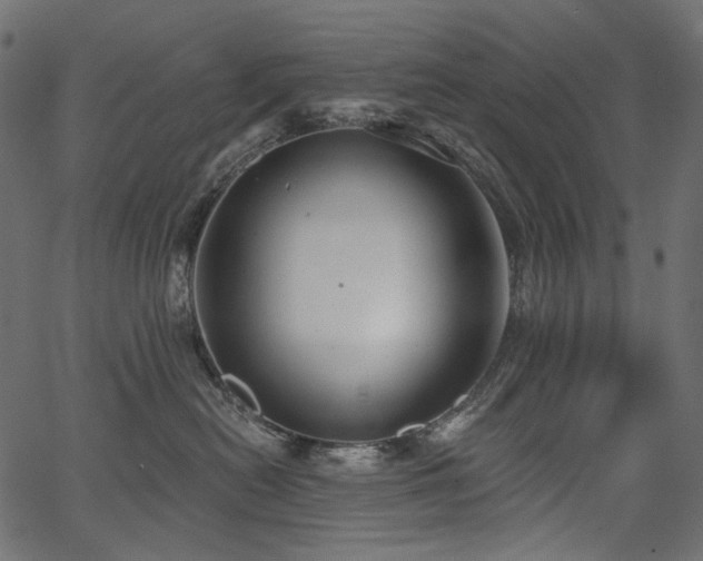 X0000067390478200603311303