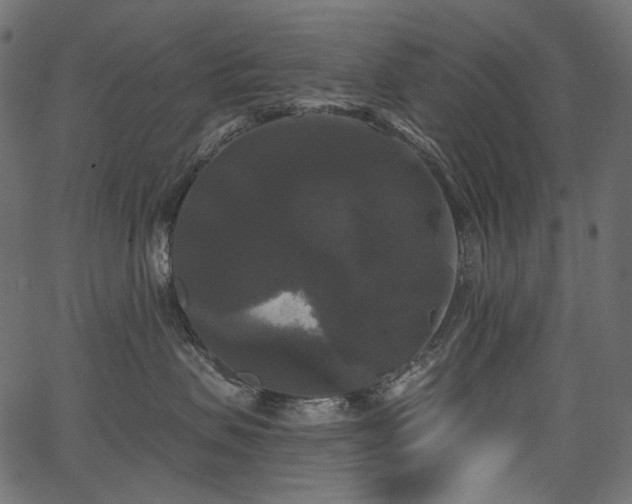 X0000067390479200603311303