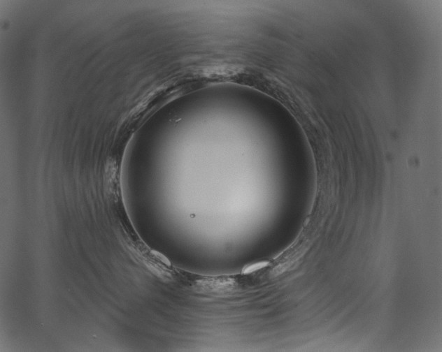 X0000067390480200603311303