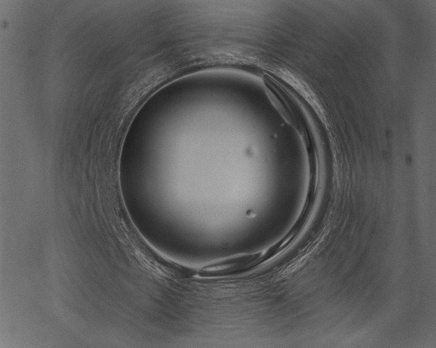 X0000067390481200603311303