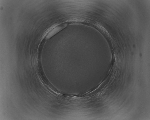 X0000067390484200603311303