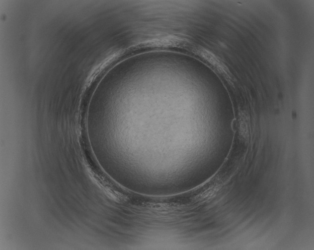 X0000067390486200603311303