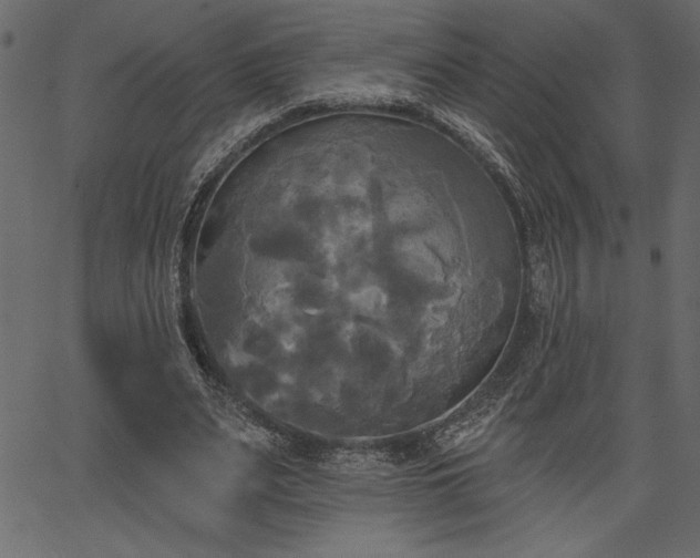 X0000067390487200603311303