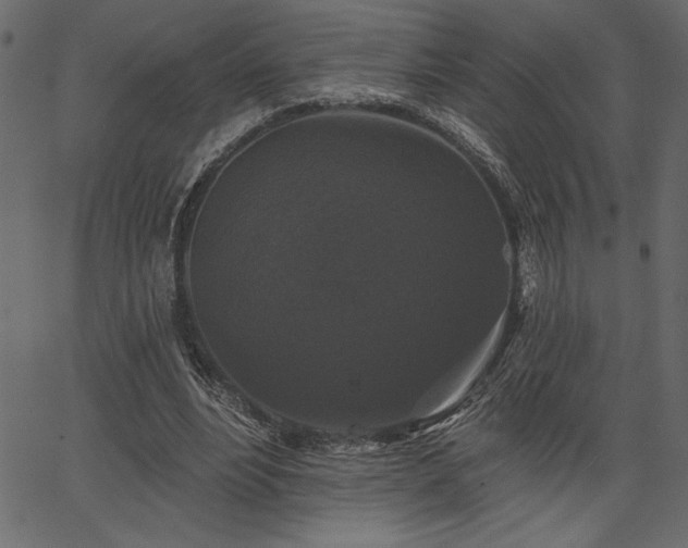 X0000067390488200603311303