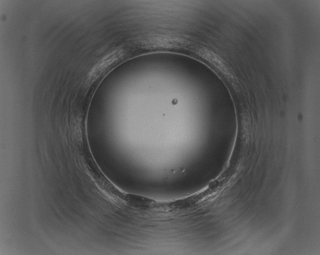 X0000067390489200603311303