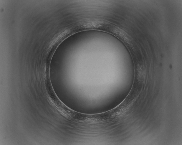 X0000067390490200603311303