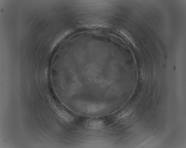 X0000067390491200603311303