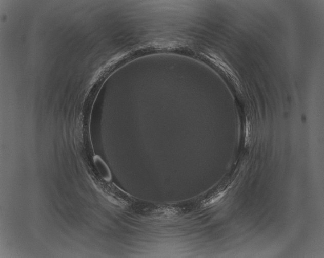 X0000067390492200603311302