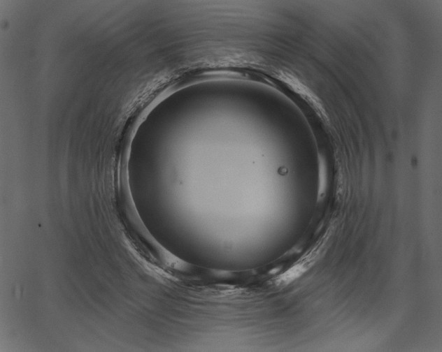 X0000067390493200603311302