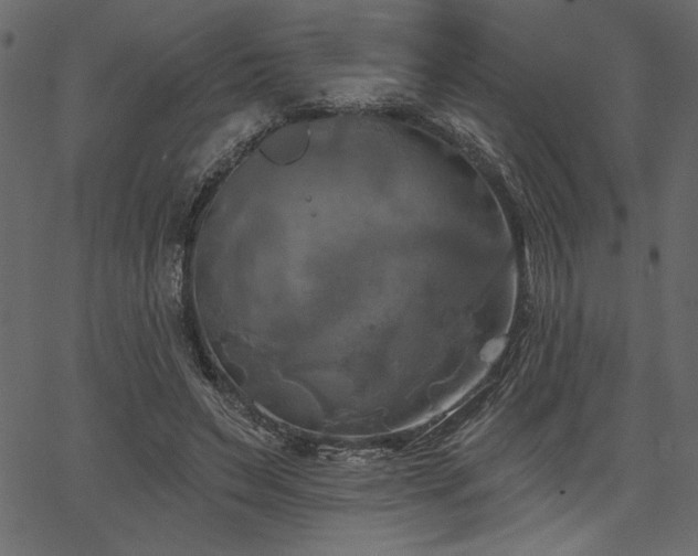 X0000067390495200603311302