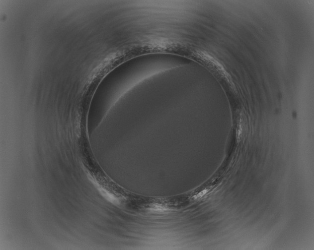 X0000067390496200603311302