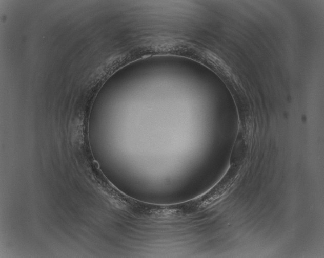 X0000067390497200603311302