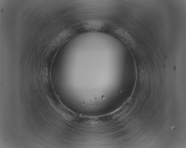 X0000067390498200603311302