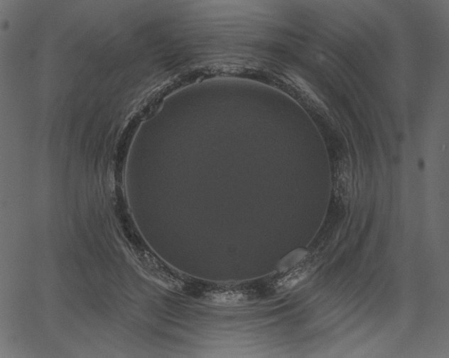 X0000067390500200603311302