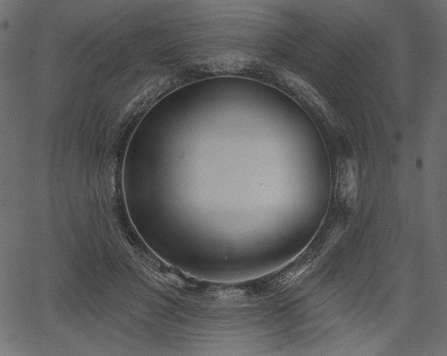 X0000067390501200603311302