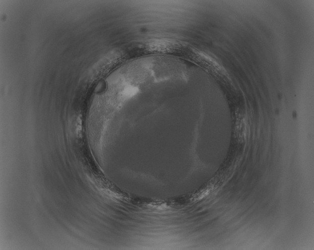 X0000067390502200603311302