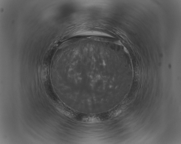 X0000067390503200603311302