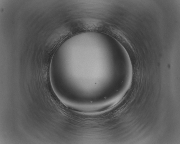 X0000067390505200603311302