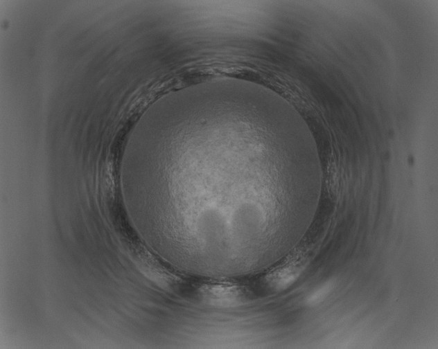 X0000067390506200603311302