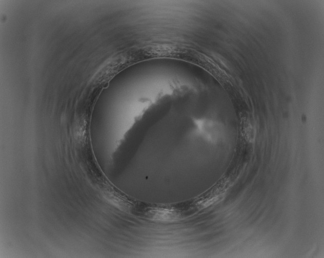 X0000067390507200603311302