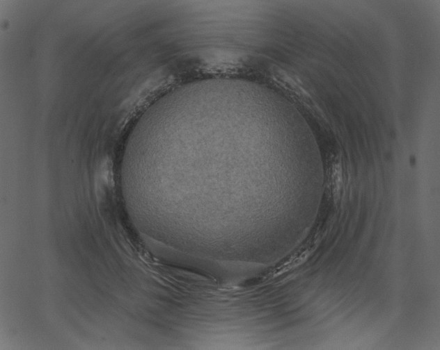 X0000067390508200603311302