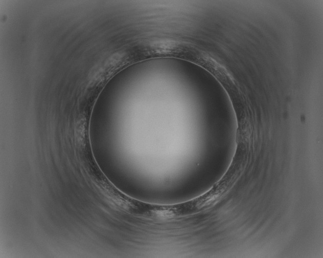 X0000067390509200603311302