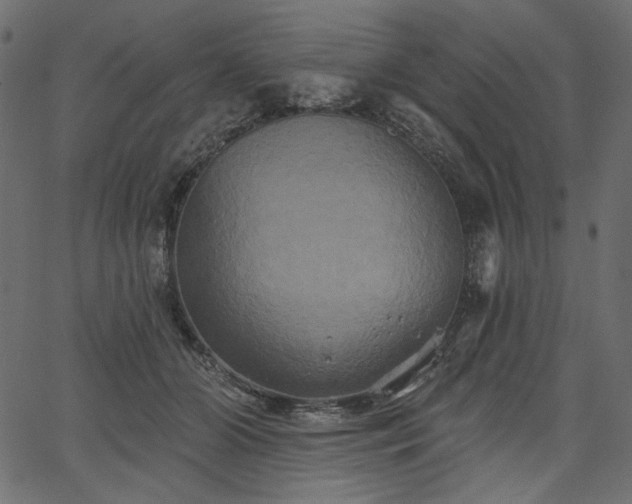 X0000067390510200603311302