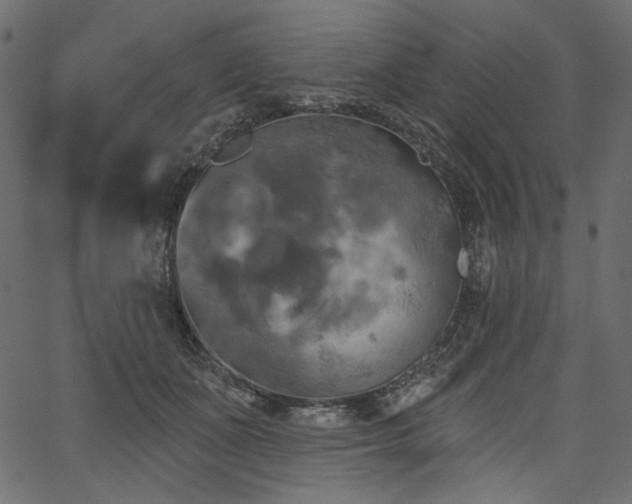 X0000067390511200603311302